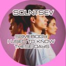 Solntsev - Somebody I Used To Know These Days