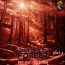 Distorted Forest - Pure Madness (Original Mix)