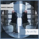 Marco Simeone - Ay yo Lily (Original Mix)