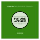 SLIDER (SL) - Rhythms of Raga