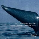 Norman H, Ranj Kaler - Whales