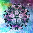 Poli-Poli - LD In Your Face (Original Mix)