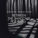 Stefano Somalvico - Between the Shadows of Trees ()