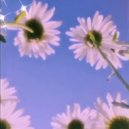 J.R.L. - WILTING ()