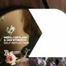 Meraj Deylami & Jan Rynkevic - Self Reflection (Original Mix)