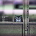Electronic Fluke - Dangerous sweetness ()
