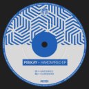 Peekay - Hardwired (Original Mix)