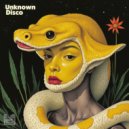 Unknown Disco - MC (Original Mix)