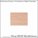 Sleep BGM Mindfulness - Harness the Power of Neural Connections (Original Mix)