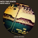 Arte Mola - Into The Synth (Original Mix)
