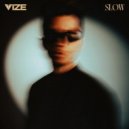 VIZE (DE) - Slow