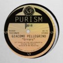 Giacomo Pellegrino - Error 000 (Original Mix)