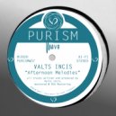 Valts Incis - Introvert Groove