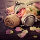 Binaural Healer & Pure Day Academy & Wellness Spa Music Oasis - Light Touch Grooves ()