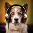 Stress Buster & Music for Dogs Rhythms & Outstanding Dog Walking Music - Dog’s Cozy Chords ()