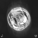 5X - Fever