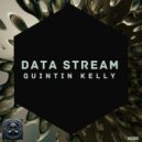 Quintin Kelly - Data Stream (Original Mix)