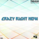 Pimlican - Crazy Right Now (Original Mix)