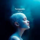 Toregualto - Anima (Original Mix)