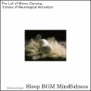 Sleep BGM Mindfulness - Twinkling Stars, The Promise of Night\'s Embrace (Original Mix)