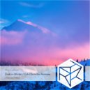 Maritumix - Dusk in Winter (L1mixe Extended Remix)