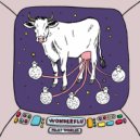Wonderflu - For Us ()