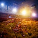 Pan Flute Music Society & Forest Soundscape & Elevator Background Music Classics - Relaxed Symphony Movements ()