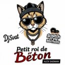 Scratch Style Brothers & Alex Sadman & DJ\'SvaT - Petit roi de beton (Instrumental)
