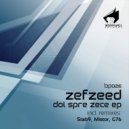 Zefzeed - Intamplare
