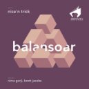 Nice \'N Trick - Balansoar (Brett Jacobs Remix)