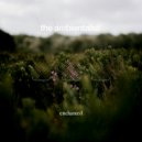 The Ambientalist - Enchanted ()