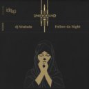 dj Wadada & Vitaliy Rybakin - Follow Da Night (Vitaliy Rybakin Remix)