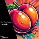 Labeeb - Go Back (Extended Mix)