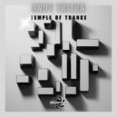 Andy Triton - Digital Ghost (Original Mix)