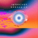 Introsvet - Pacification (Original Mix)