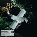 HΛNNES - Flx My Eyes (Original Mix)