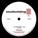 Tripmann - In the Night (Disco Mix)
