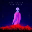 InsertFX & Bonrynet - How Could You Love ()