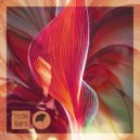 ASHER SWISSA, Anorre - Beza (Original Mix)