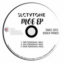 Slctvtones - FNS (Original Mix)