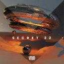 Floross - Secret 22 (Original Mix)