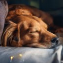 Latidos de la soledad & Música para Perros Seducción & Música Chill para Perros - Suave Comodidad Para Perros ()