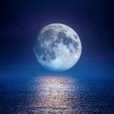 Lo que pasa con el ruido & Proyecto Tormenta Global & Bosque Ocupado - La Música Serena Para La Quietud Nocturna ()