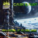 C.A.2K & Funt - Invisible Subline ()