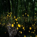 John Betts - Firefly (Original Mix)