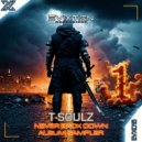 T-Soulz - Too Late (Extended Mix)