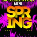 Dj Stereovert - Mini Spring 20 ()