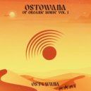 the YONA - Guest Of The Night (Original Mix)
