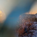 Wimmelbuch - Snowfall ()