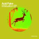 Acid Fake - On & On (Original Mix)
